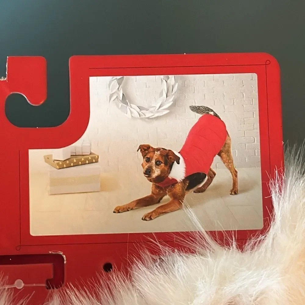 WONDERSHOP Santa Pet Puffer Coat *NEW*